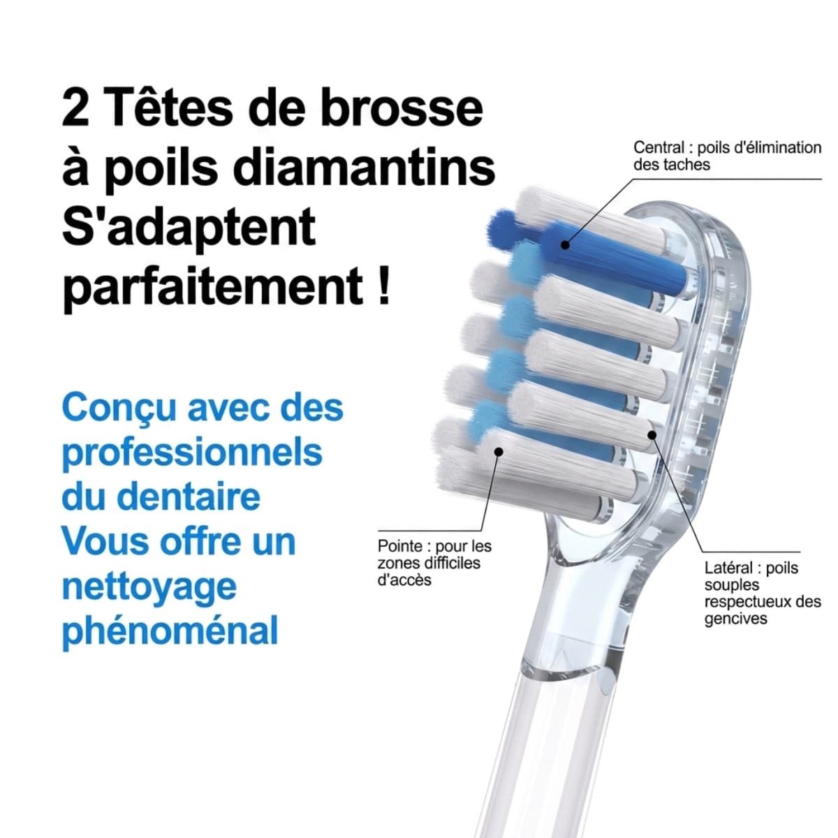 Conçu avec des professionnels du dentaire , Vous offre un nettoyage phénoménal