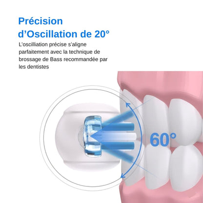 Schéma technique montrant une tête de brosse à dents Nomad Integra-Sonic en action sur une mâchoire. Des flèches bleues illustrent une précision d'oscillation de 20° à 60°, alignée avec la technique de brossage de Bass. Le visuel souligne l'efficacité du nettoyage au niveau du sillon gingival, crucial pour la maintenance des implants.