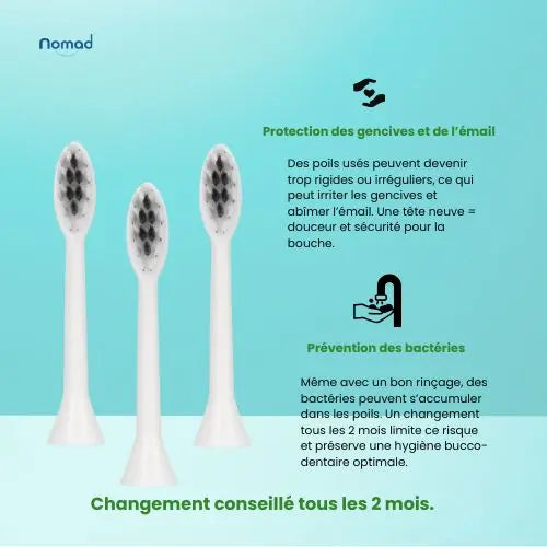 Tête de brosse à dents sonique pour adulte, couleur blanche, 3 pièces