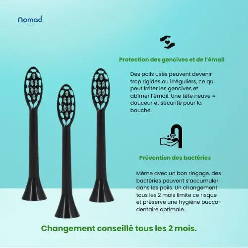 Tête de brosse souple noire – 3 pièces Nomad oral care